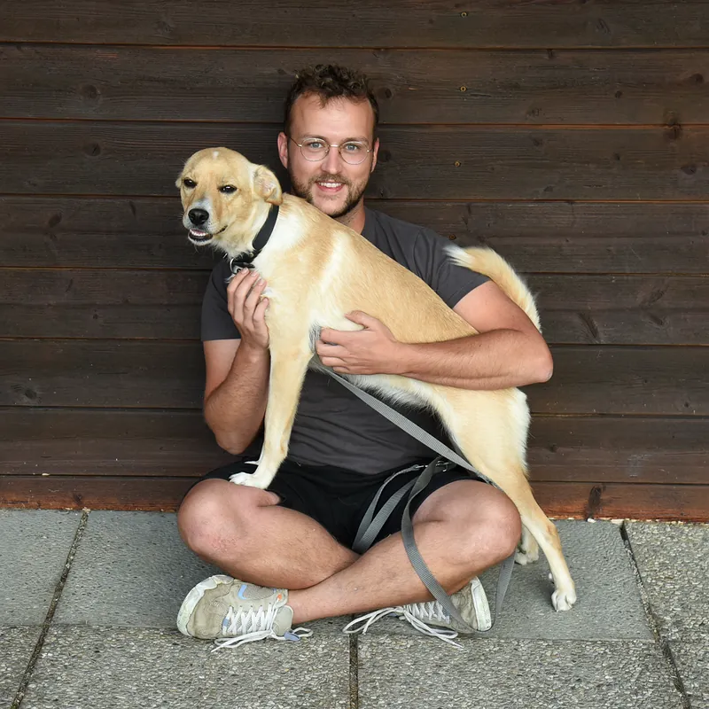 Peter Hauer